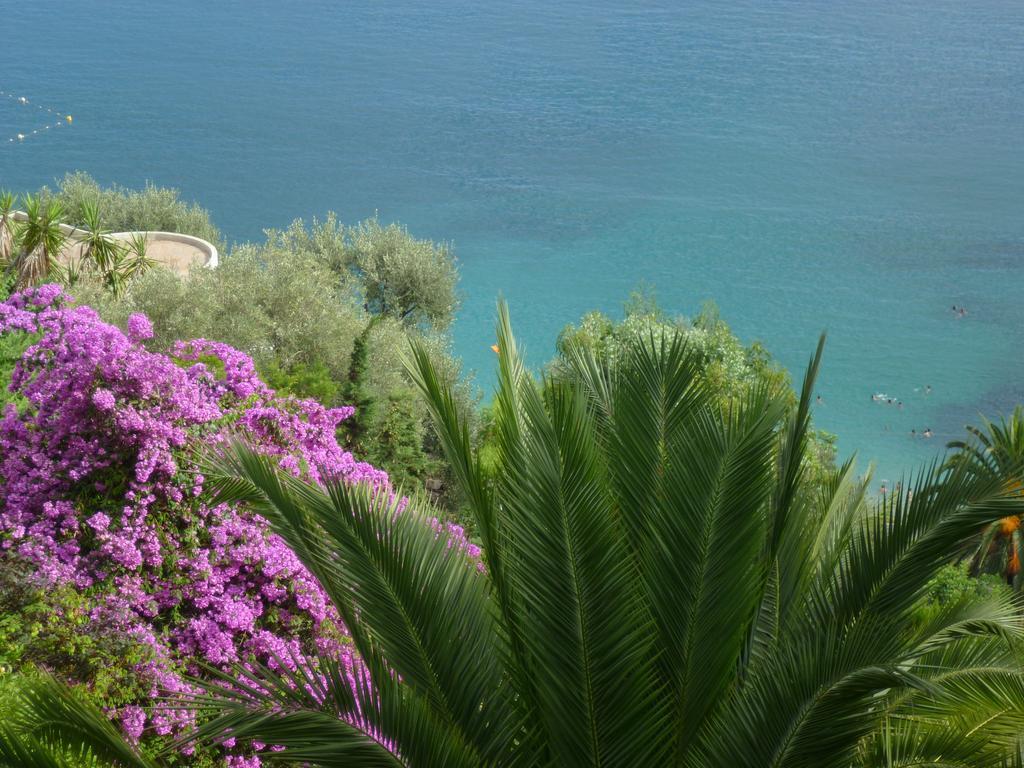 Appartement Charme Et Coeur Villefranche-sur-Mer Dış mekan fotoğraf